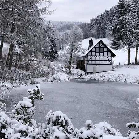 Rueckzugsort Am Teich In *