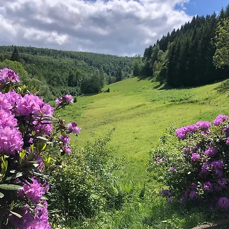 In The Countryside Near * Winterberg
