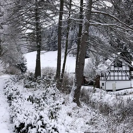 Rueckzugsort Am Teich In Feriehus *