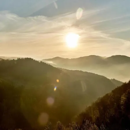 Rueckzugsort Am Teich In * Винтерберг