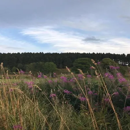 Дом отдыха Rueckzugsort Am Teich In