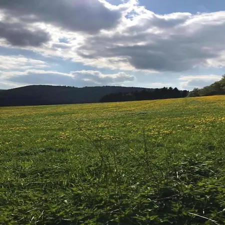 Дом отдыха Rueckzugsort Am Teich In