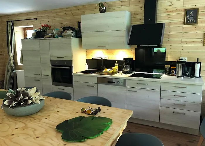 Ferienhaus Rueckzugsort Am Teich In