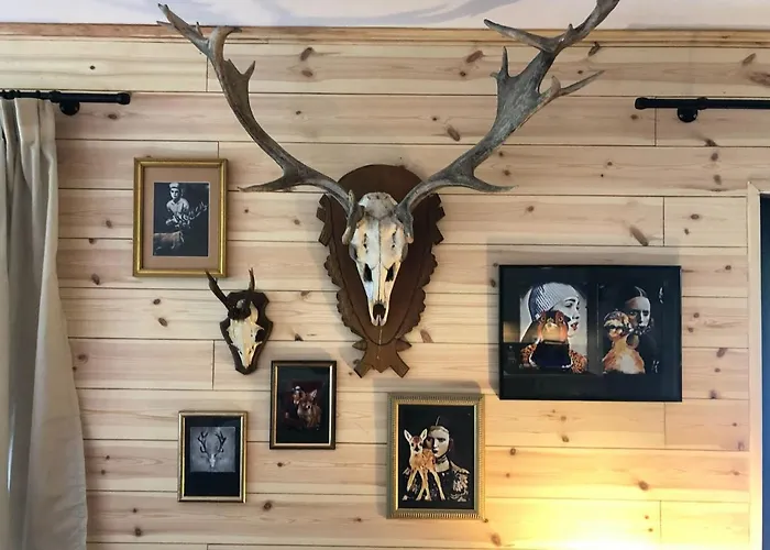 Rueckzugsort Am Teich In Ferienhaus Winterberg