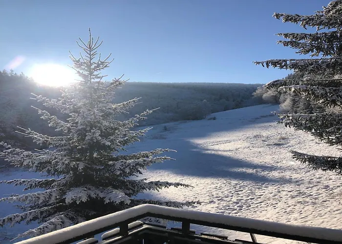 Rueckzugsort Am Teich In Winterberg