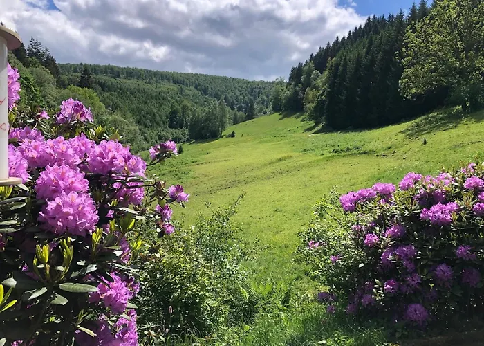 Rueckzugsort Am Teich In * Winterberg