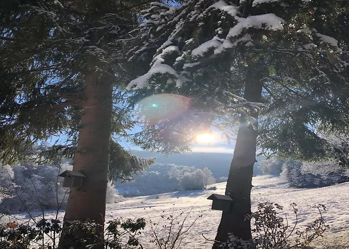 Дом отдыха Rueckzugsort Am Teich In