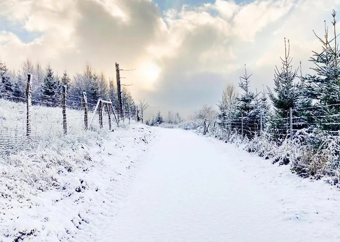 Rueckzugsort Am Teich In Ferienhaus Winterberg