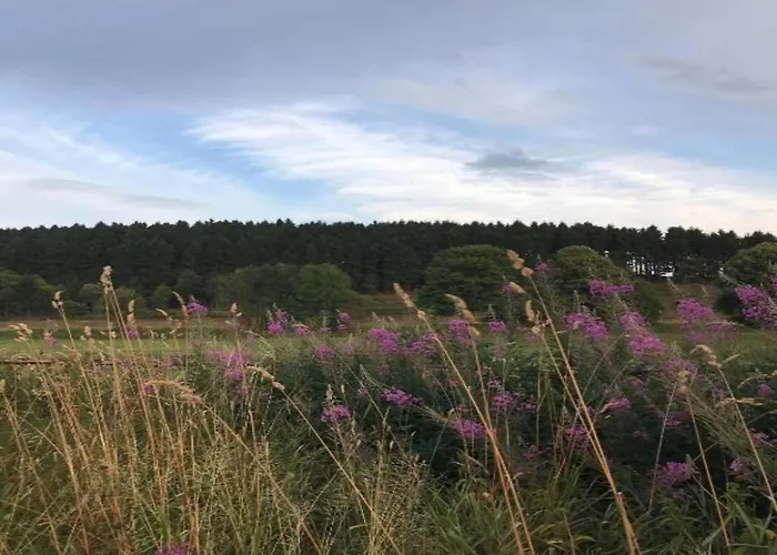 Ferienhaus Rueckzugsort Am Teich In