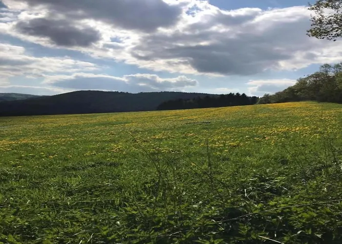 Ferienhaus Rueckzugsort Am Teich In
